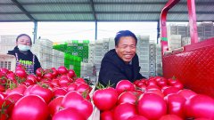陈王——古黄河边的“